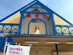 あざみ　行田店
