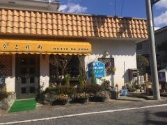 カトレア