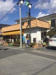 カトレア