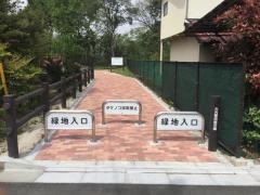 大古里自然緑地