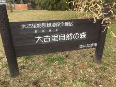 大古里自然緑地