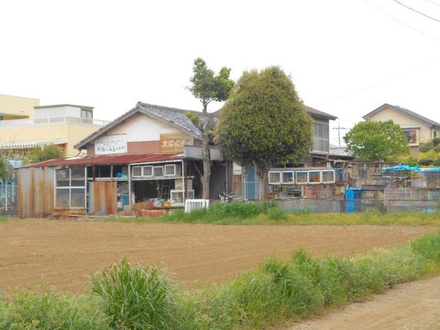 投稿写真2