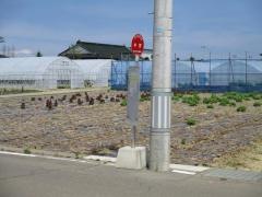 「中野」バス停留所
