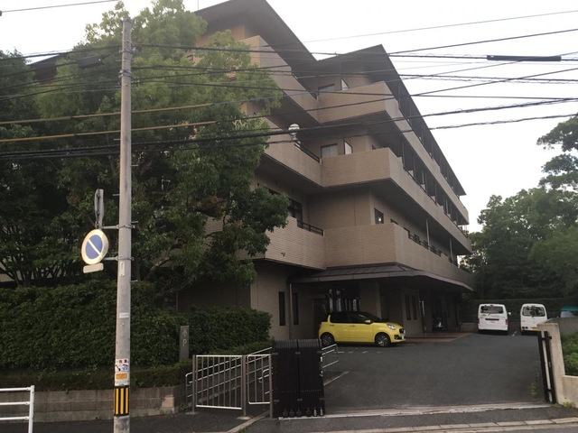 たちばな