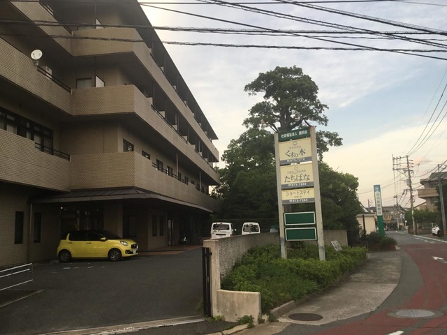 たちばな