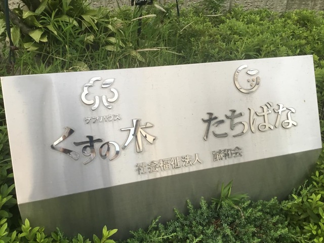 たちばな