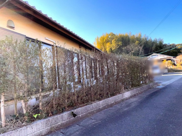 池内の家