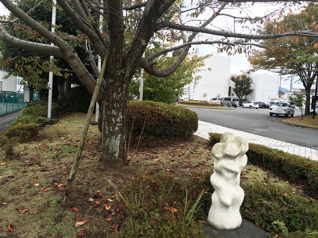 施設写真3
