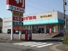 スギ薬局　新知店