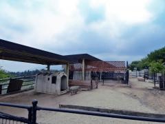 四日市市ふれあい牧場