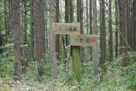 阿坂城跡