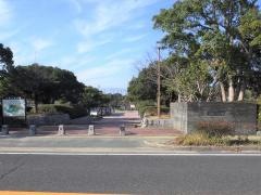 千鳥ケ池公園