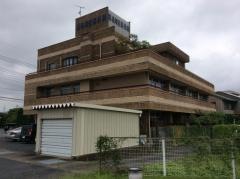 長谷川整形外科