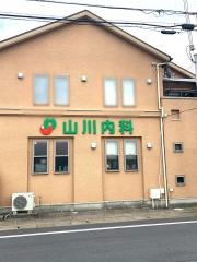 山川内科