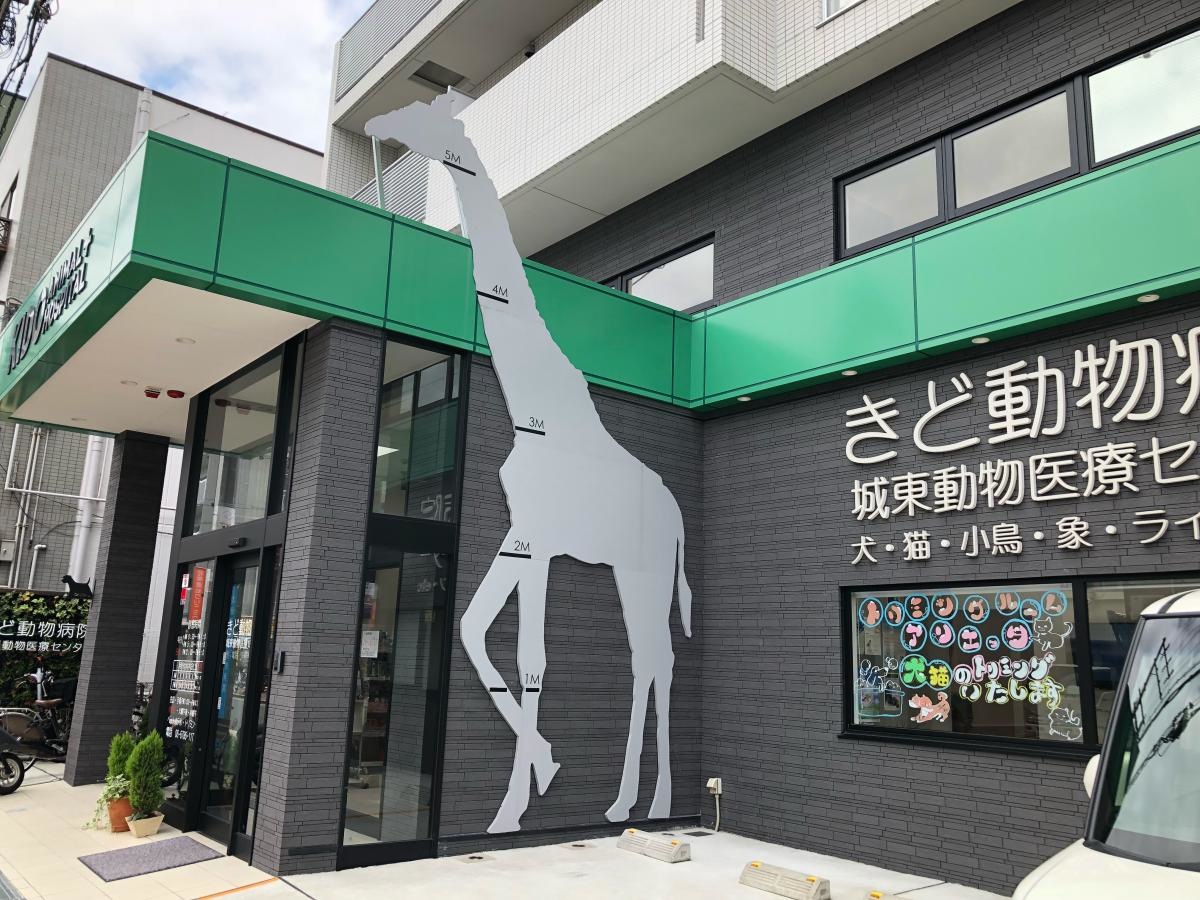 きど動物病院