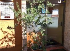 中島歯科医院