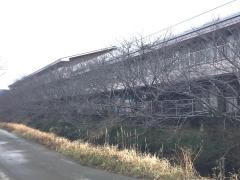 和みの家