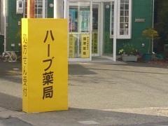 ハーブ薬局
