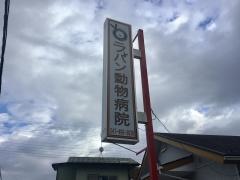 ラパン動物病院