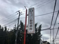 ラパン動物病院