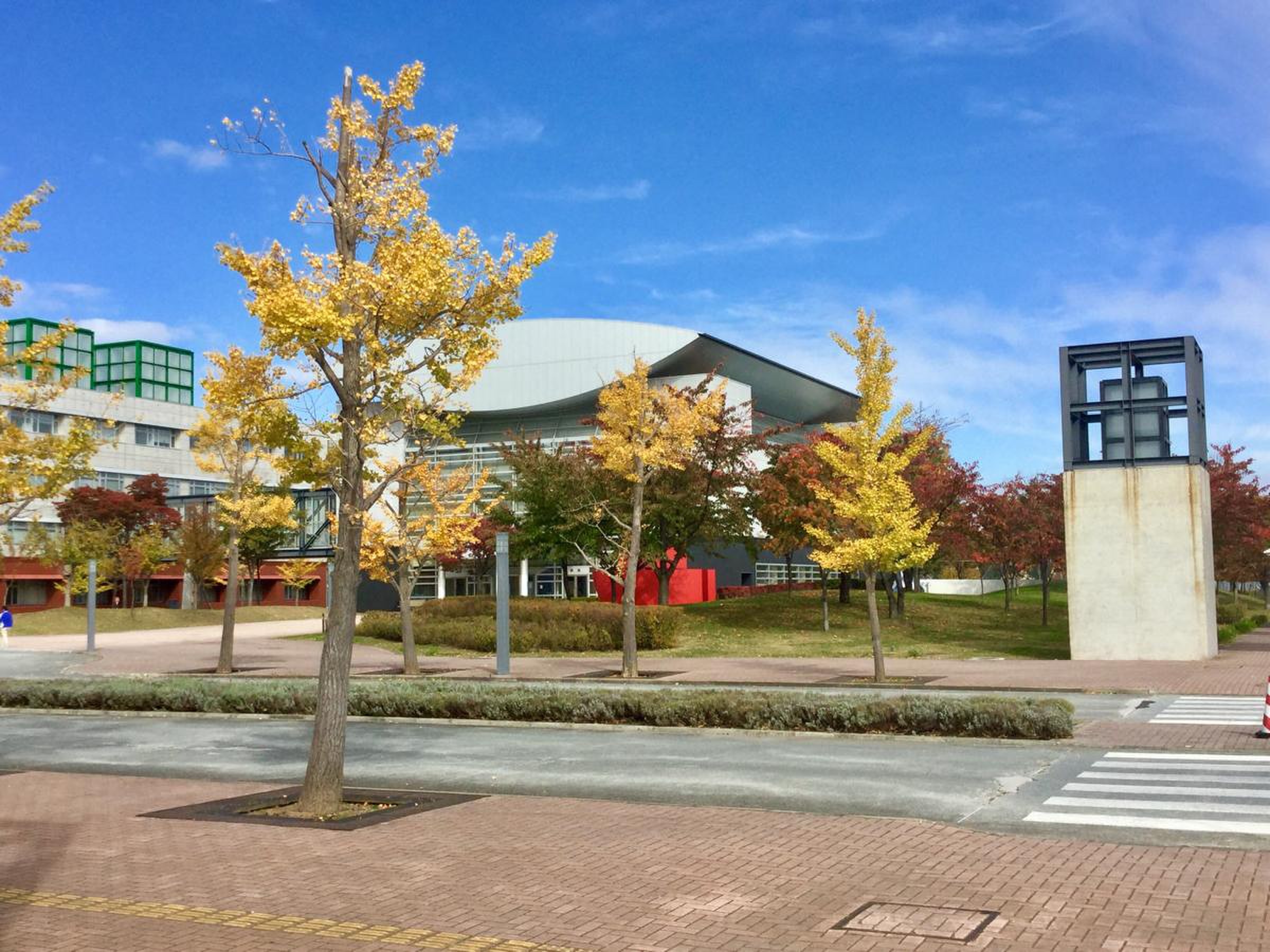 青森 県立 保健 大学