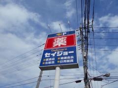 ココカラファイン・デイリーケアセイジョー　桶川坂田店