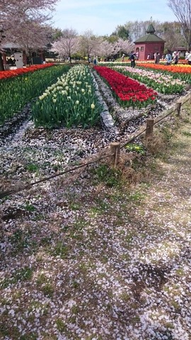 施設写真26