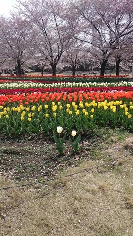 施設写真24
