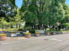 わかぐさ公園