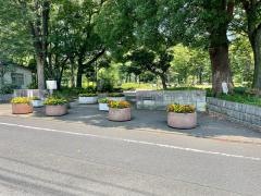 わかぐさ公園