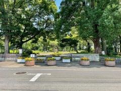 わかぐさ公園