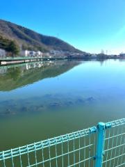 おがせ池