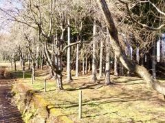 駒門公園
