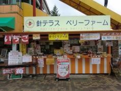 針Ｔ・Ｒ・Ｓベリーファーム