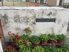 川之石小学校