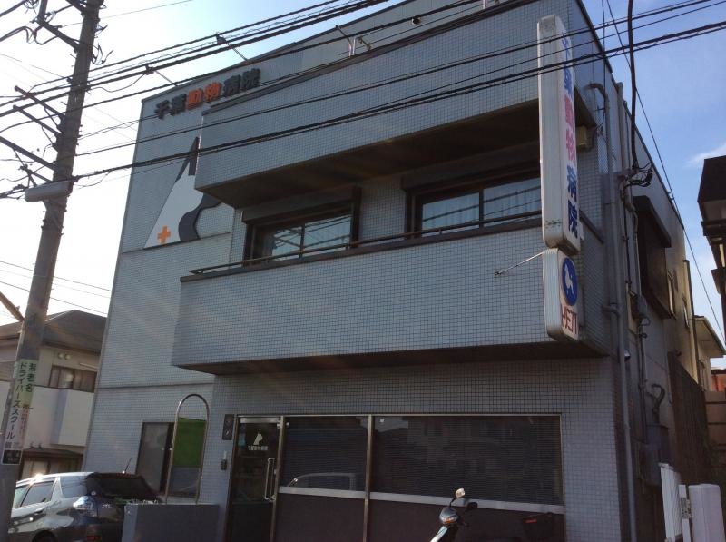 千葉動物病院
