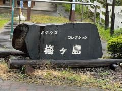 梅ケ島温泉郷