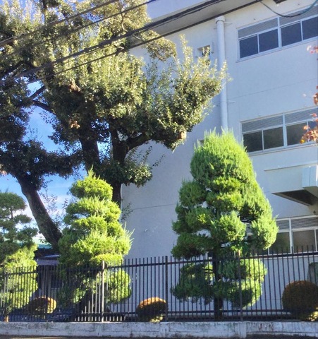施設写真14
