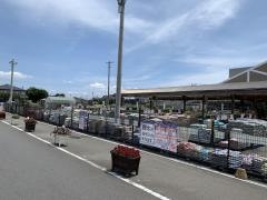 ジョイフル本田荒川沖店
