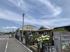 ジョイフル本田荒川沖店