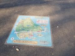 東京都立代々木公園