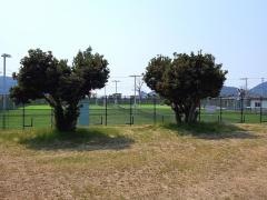 仁尾公園