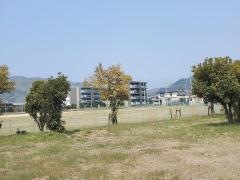 仁尾公園