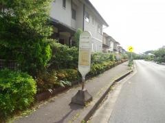 「三丁目さくら通り」バス停留所