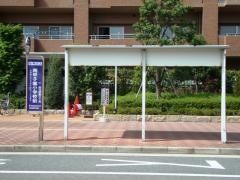 「南甲子園小学校前」バス停留所