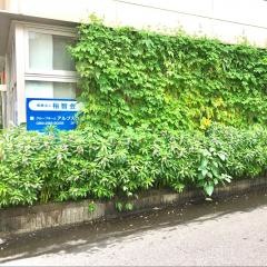 アルプス