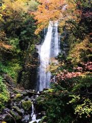 回顧の滝