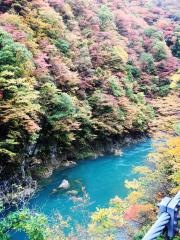 回顧の滝