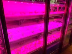 渋谷区ふれあい植物センター