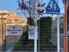 湘南白百合学園幼稚園